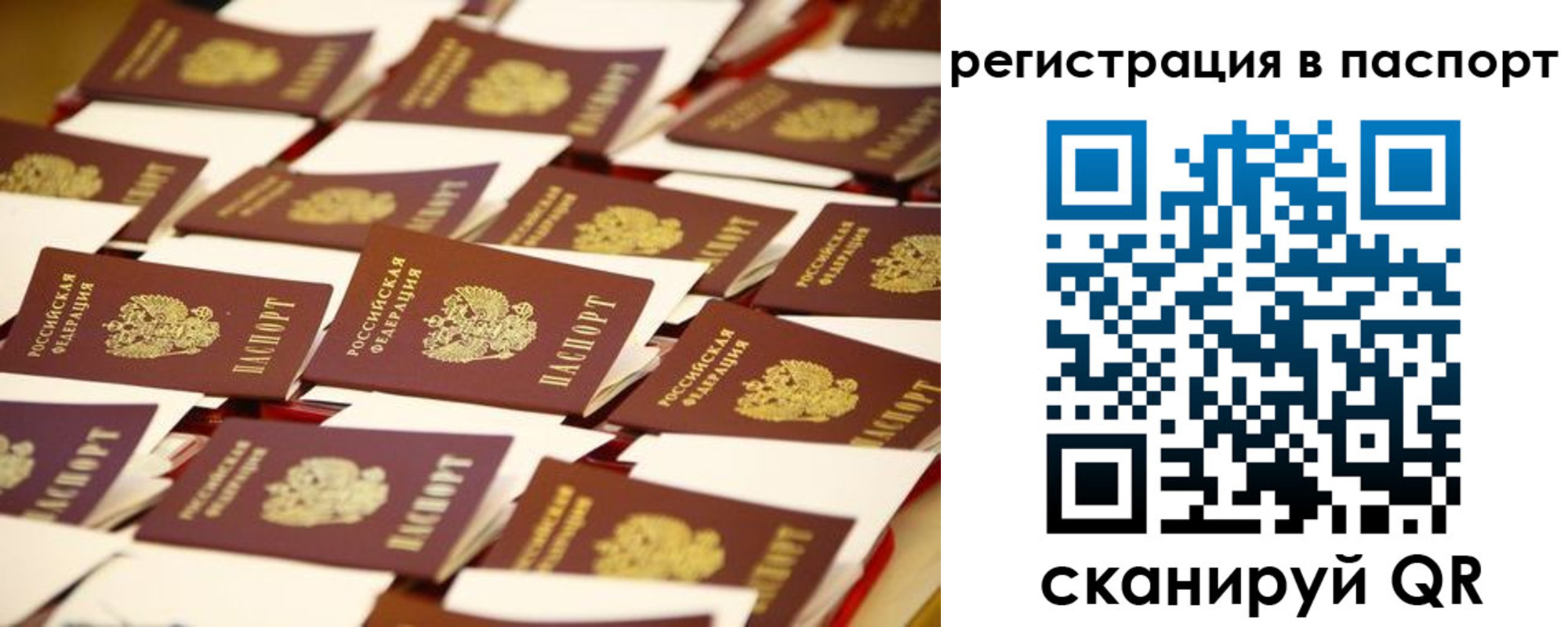 прописка гарантия в Хвалынске